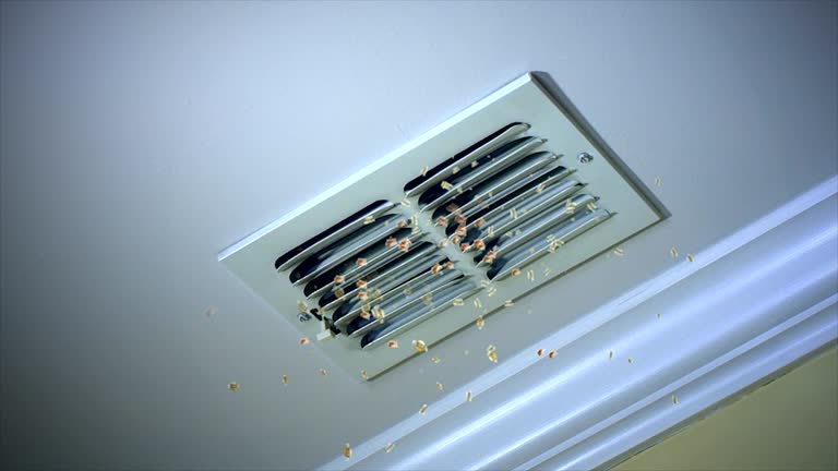 Best Affordable HVAC Duct Cleaning  in Merchantville, NJ